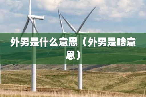 外男是什么意思（外男是啥意思）