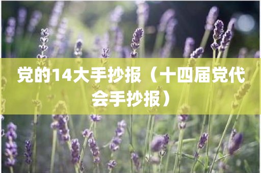 党的14大手抄报（十四届党代会手抄报）