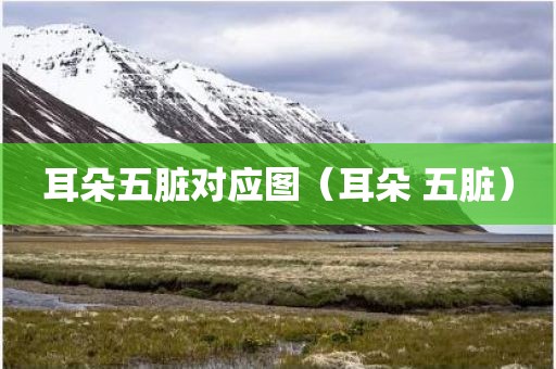 耳朵五脏对应图（耳朵 五脏）