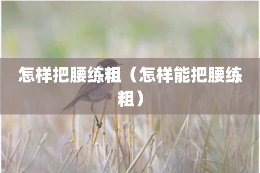 怎样把腰练粗（怎样能把腰练粗）
