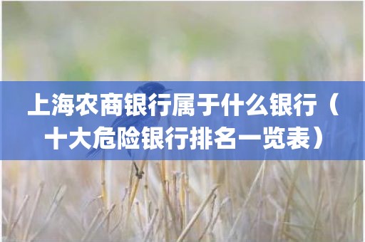 上海农商银行属于什么银行（十大危险银行排名一览表）