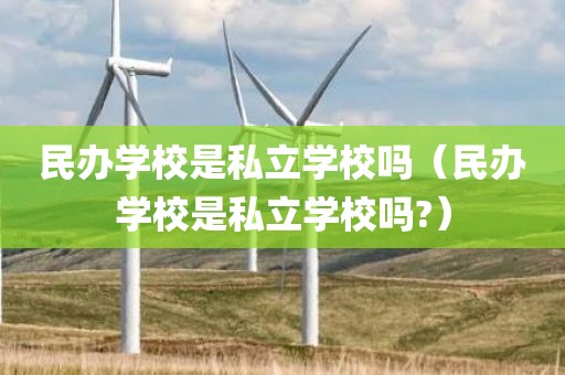 民办学校是私立学校吗（民办学校是私立学校吗?）