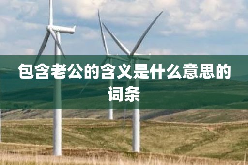 包含老公的含义是什么意思的词条