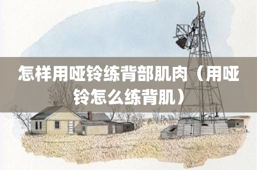 怎样用哑铃练背部肌肉（用哑铃怎么练背肌）