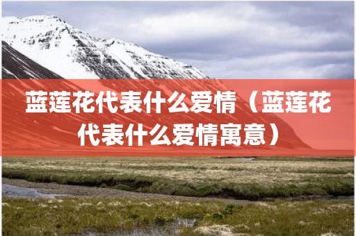 蓝莲花代表什么爱情（蓝莲花代表什么爱情寓意）