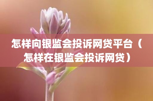 怎样向银监会投诉网贷平台（怎样在银监会投诉网贷）
