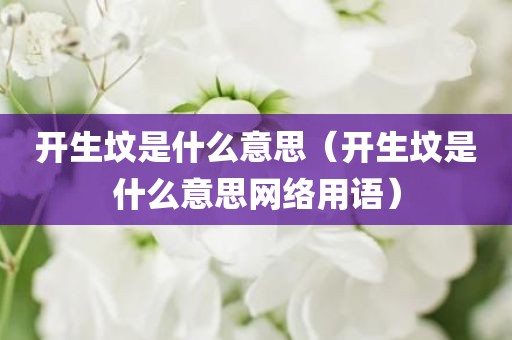 开生坟是什么意思（开生坟是什么意思网络用语）