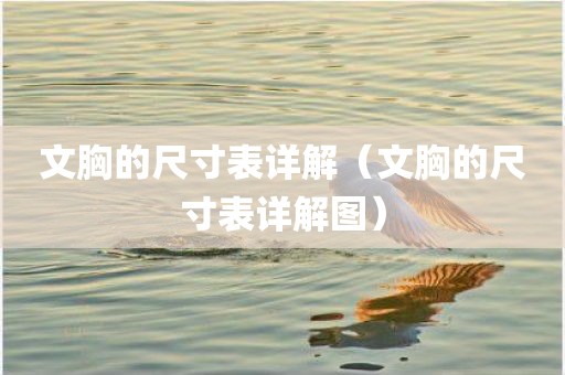 文胸的尺寸表详解(文胸的尺寸表详解图)
