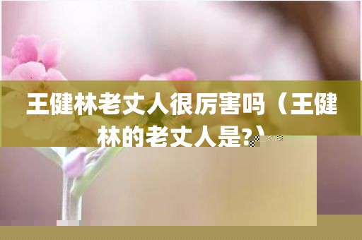 王健林老丈人很厉害吗（王健林的老丈人是?）