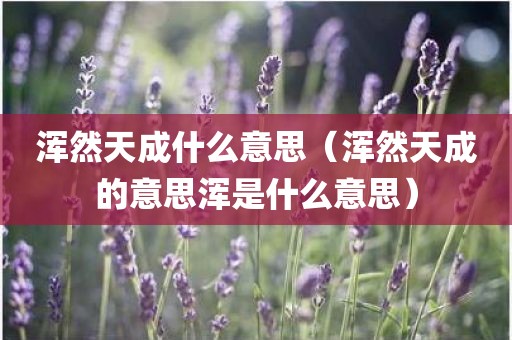 浑然天成什么意思（浑然天成的意思浑是什么意思）