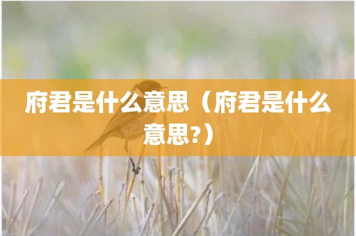 府君是什么意思（府君是什么意思?）