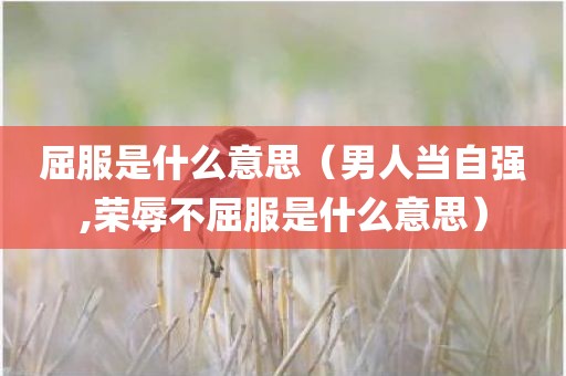 屈服是什么意思（男人当自强,荣辱不屈服是什么意思）