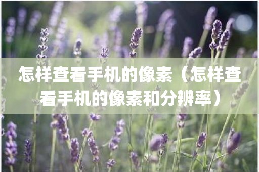 怎样查看手机的像素（怎样查看手机的像素和分辨率）