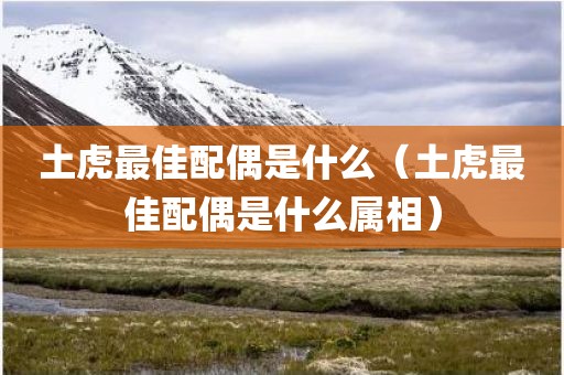 土虎最佳配偶是什么（土虎最佳配偶是什么属相）