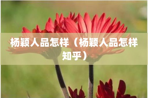 杨颖人品怎样(杨颖人品怎样知乎)