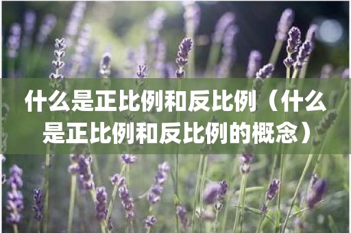 什么是正比例和反比例（什么是正比例和反比例的概念）