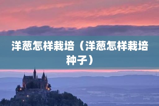 洋葱怎样栽培(洋葱怎样栽培种子) 洋葱怎样栽培(洋葱怎样栽培种子)