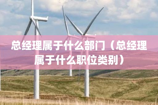总经理属于什么部门（总经理属于什么职位类别）