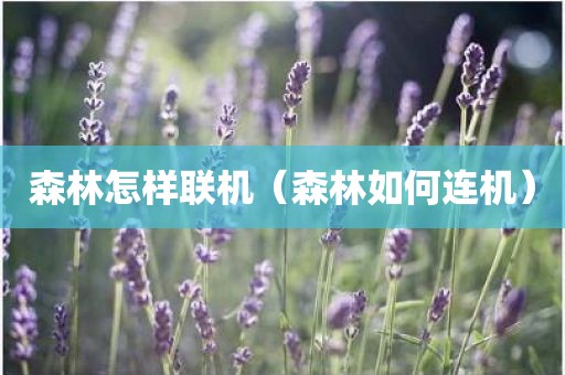 森林怎样联机（森林如何连机）