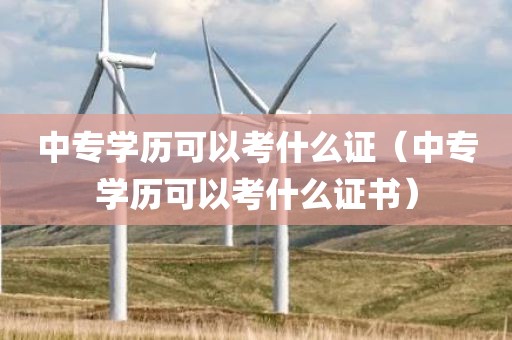 中专学历可以考什么证（中专学历可以考什么证书）