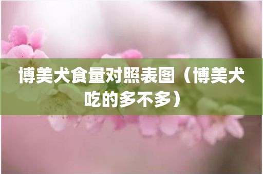 博美犬食量对照表图（博美犬吃的多不多）