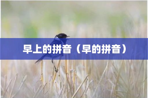 早上的拼音（早的拼音）