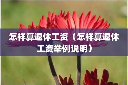 怎样算退休工资（怎样算退休工资举例说明）