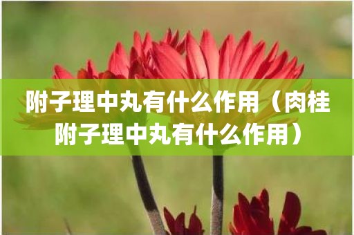 附子理中丸有什么作用(肉桂附子理中丸有什么作用)