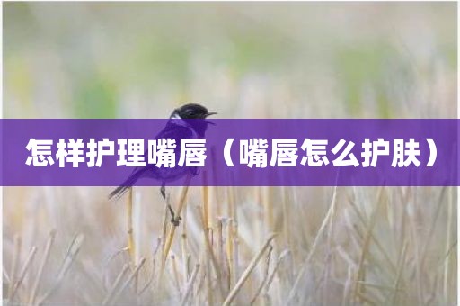 怎样护理嘴唇（嘴唇怎么护肤）