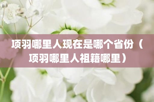 项羽哪里人现在是哪个省份（项羽哪里人祖籍哪里）