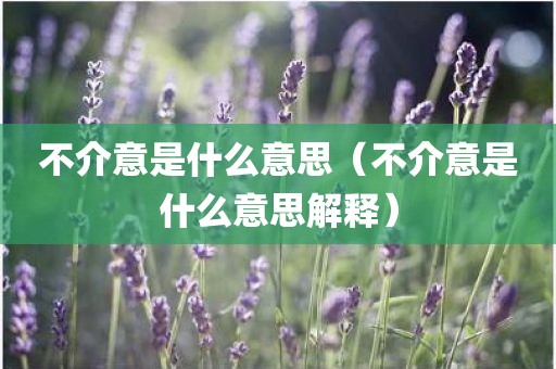 不介意是什么意思（不介意是什么意思解释）