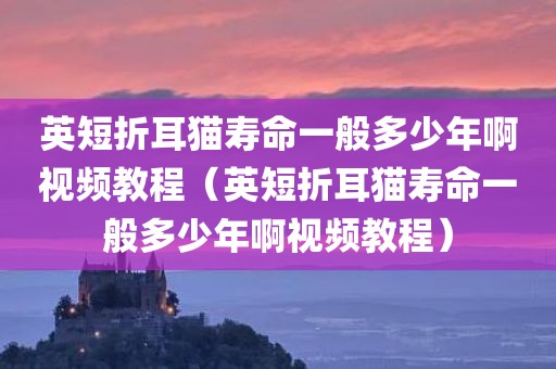 英短折耳猫寿命一般多少年啊视频教程（英短折耳猫寿命一般多少年啊视频教程）