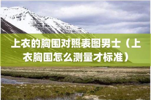 上衣的胸围对照表图男士（上衣胸围怎么测量才标准）