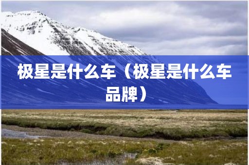 极星是什么车（极星是什么车品牌）