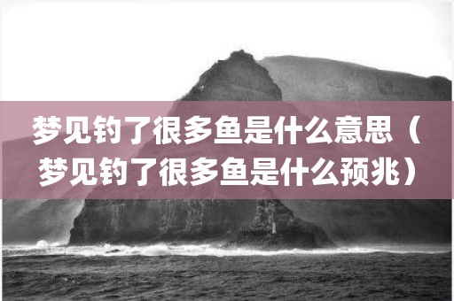 梦见钓了很多鱼是什么意思(梦见钓了很多鱼是什么预兆)