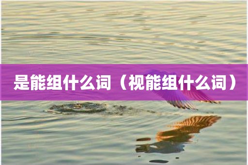 是能组什么词（视能组什么词）