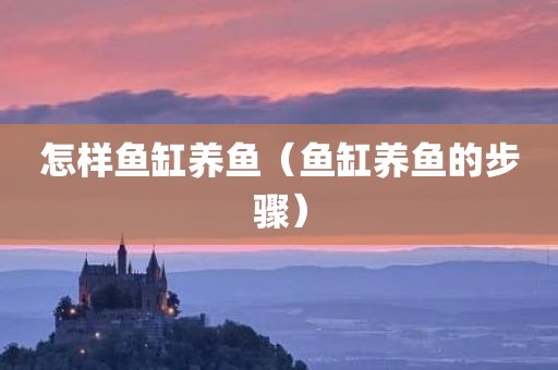 怎样鱼缸养鱼（鱼缸养鱼的步骤）