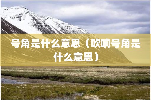 号角是什么意思（吹响号角是什么意思）