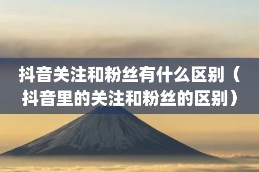 抖音关注和粉丝有什么区别(抖音里的关注和粉丝的区别)