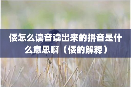 倭怎么读音读出来的拼音是什么意思啊（倭的解释）