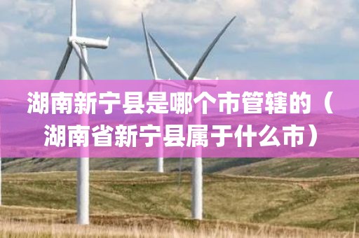 湖南新宁县是哪个市管辖的（湖南省新宁县属于什么市）