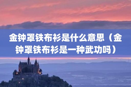 金钟罩铁布衫是什么意思（金钟罩铁布衫是一种武功吗）