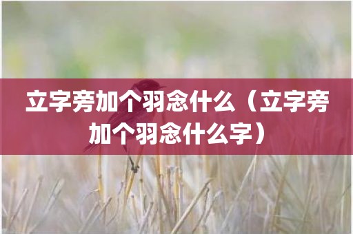 立字旁加个羽念什么(立字旁加个羽念什么字)