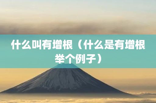 什么叫有增根（什么是有增根举个例子）
