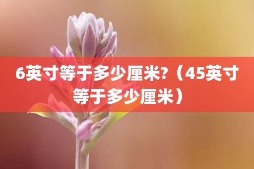 6英寸等于多少厘米?（45英寸等于多少厘米）