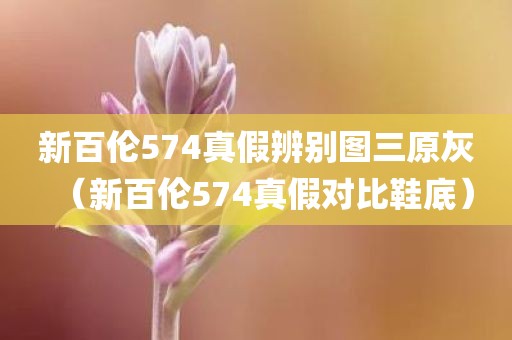 新百伦574真假辨别图三原灰（新百伦574真假对比鞋底）