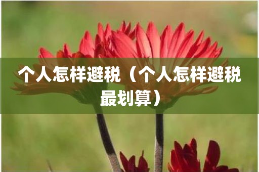 个人怎样避税（个人怎样避税最划算）