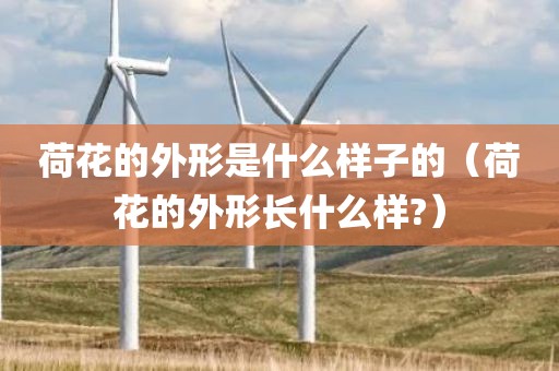 荷花的外形是什么样子的(荷花的外形长什么样?) 荷花的外形是什么样子的(荷花的外形长什么样?)