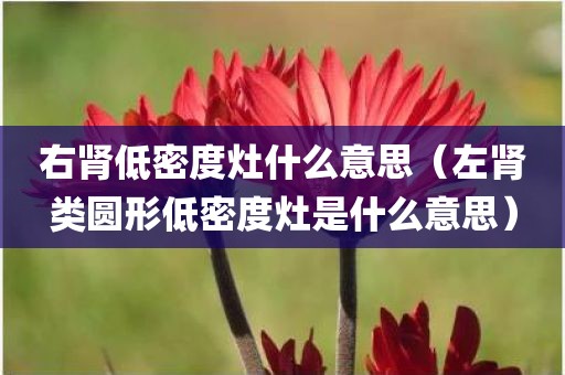 右肾低密度灶什么意思（左肾类圆形低密度灶是什么意思）