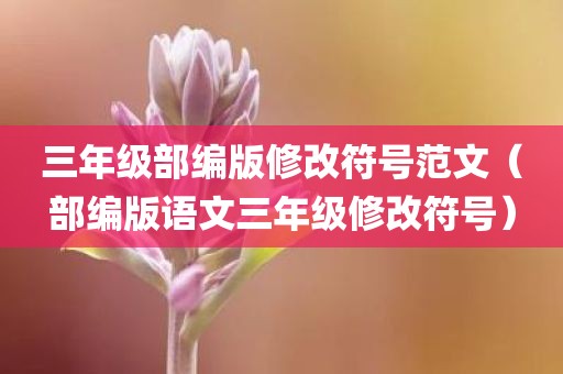 三年级部编版修改符号范文（部编版语文三年级修改符号）